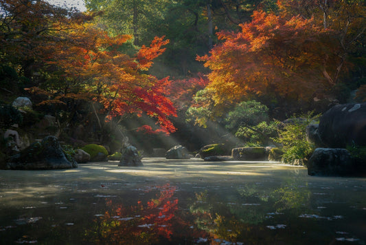 Simple Habits, Profound Change: Japanese Wisdom with Tools You’ll Love