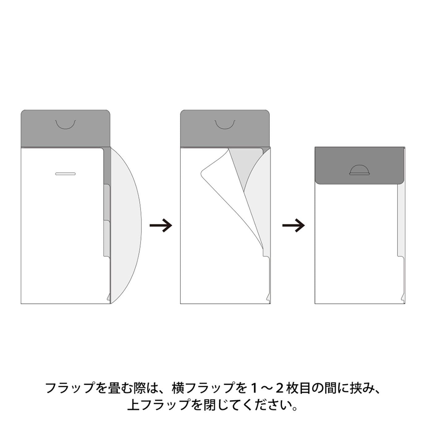 MIDORI 3 Pockets Clear Folder A5 Slim with Flap Cats