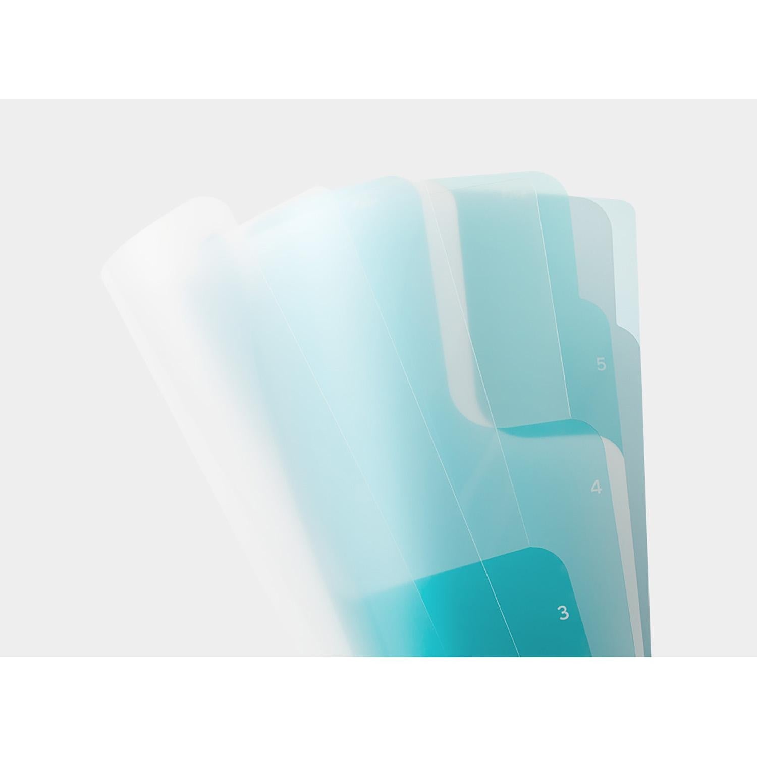 Midori 5 pocket clear folder A4 Blue divisions
